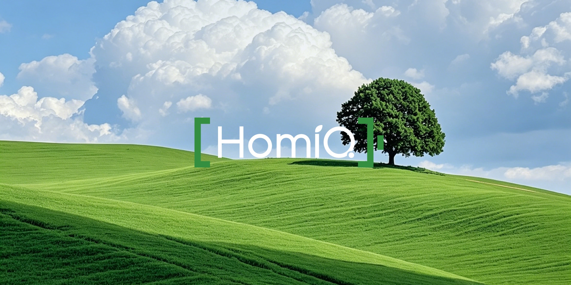 HomiQ